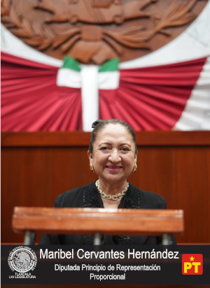Maribel Cervantes Hernández