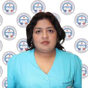 Gianina Quispe Damas