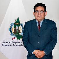 Alcides Adolfo De La Cruz Castillón