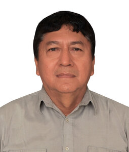 Luis Javier Falcon Ganoza