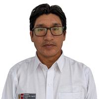 Richard Iván Castillo Grados
