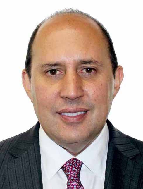 Fernando Luis Manzanilla Prieto