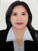 Erica Antonieta Santiago Gonzales
