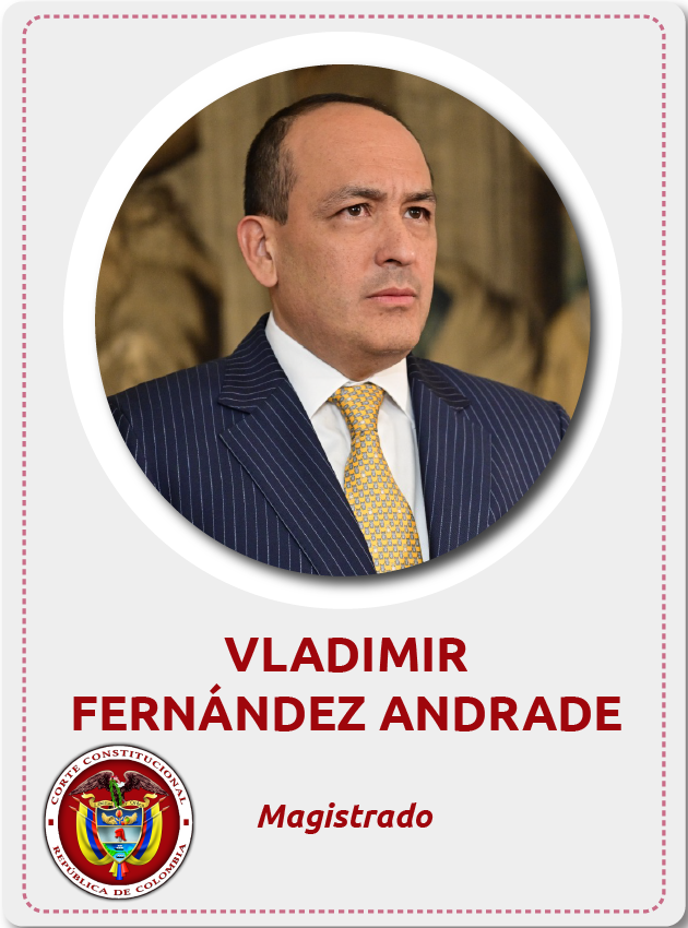 Vladimir Fernandez Andrade