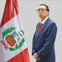 Roman Alfredo Mandujano Florindez