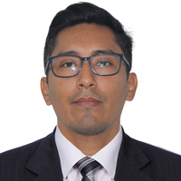 Quique Martín Flores Gonzales