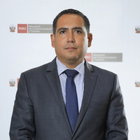Jose Luis Castillo Mezarina