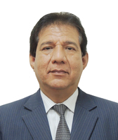 Cesar Figueroa Benites