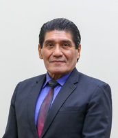 Pedro Palomino Sanchez