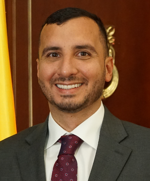 Fernando David Niño Mendoza