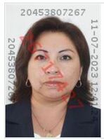 Sonia Maribel Quispe Silva