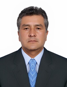 Henry Pacheco Puelles