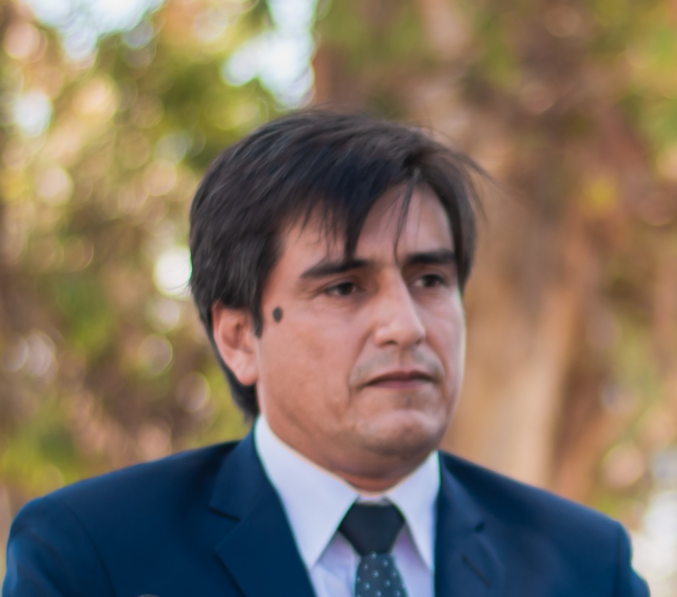 Agrimensor Marcelo Adrián Murúa Palacio