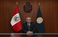 Gabriel Anibal Flores Soto