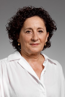 Maria Carmen Maeztu Villafranca