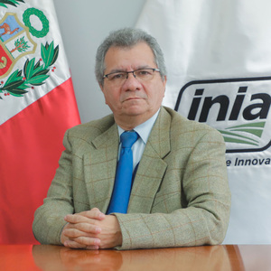 Alfonso Diulio Lizárraga Travaglini