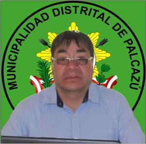 Julio Cesar Palacios Almerco