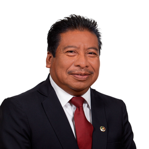 Faustino De La Cruz Pérez