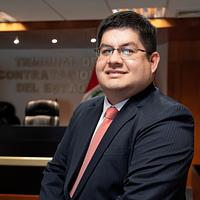 Steven Anibal Flores Olivera
