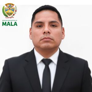 Jorge Luis Carrion Huallanay