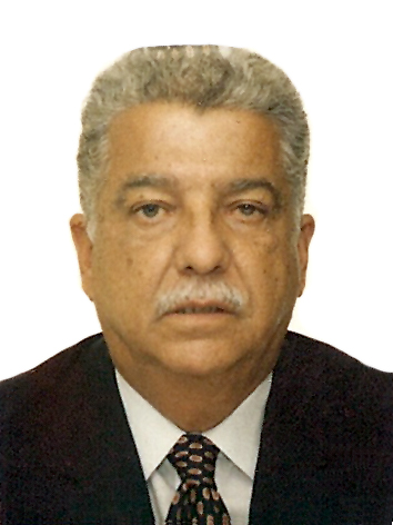 Flávio Palmier Martins Da Veiga