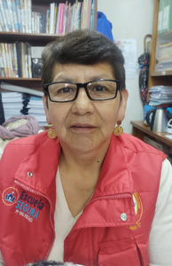Dora Huamanvilca Arias