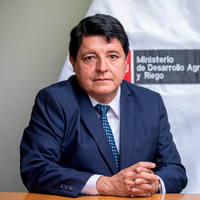 Luis Carlos Palma Castilla