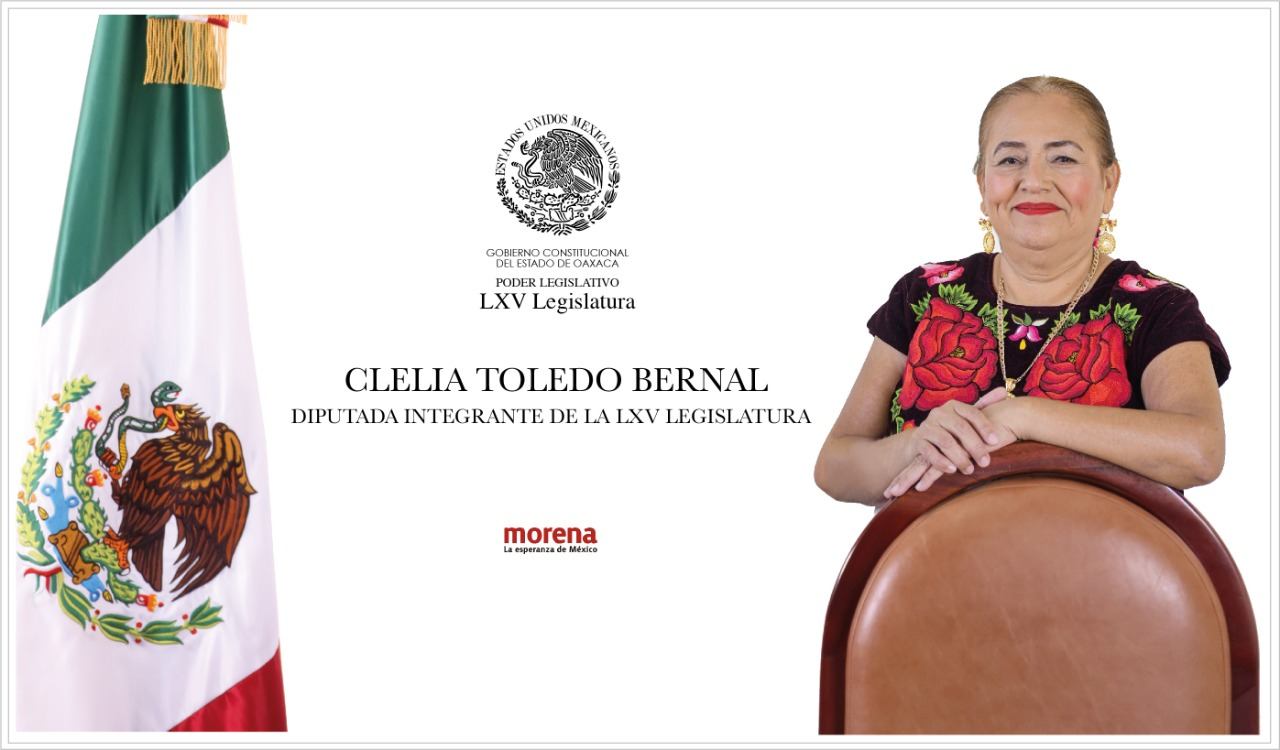 Clelia Toledo Bernal