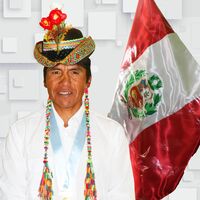 Cayllahua Gualberto Tucno