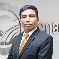 David Alfredo Cajahuaringa Vidal