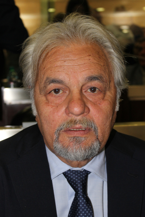 Eletto Xii Legislatura Leone Rocco Luigi