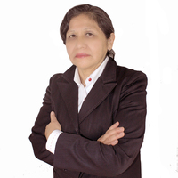 Maria Del Carmen Solorzano Mercado
