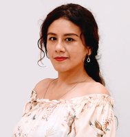 Angie Lineth Villarroel Castro