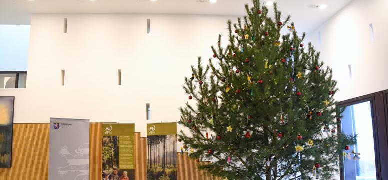 übergabe Eines Weihnachtsbaumes An Den Hessischen Landtag