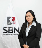Vanessa Silvana Villavicencio Candia