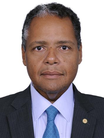 Antonio Luiz Paranhos Ribeiro Leite De Brito