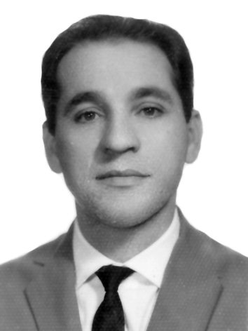 Adhemar Paladini Ghisi