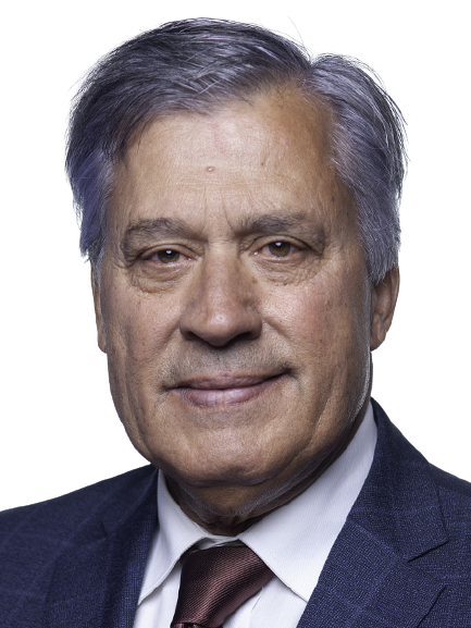 Manuel António Dos Santos Afonso