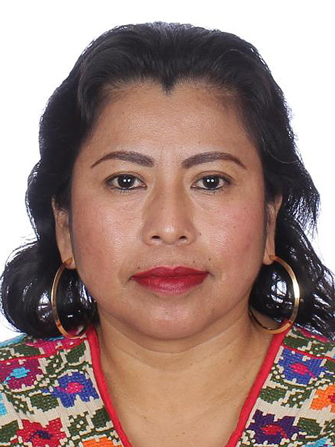 Inés Parra Juárez