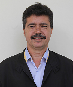 Ylidio Teodoro De Abreu Goncalves