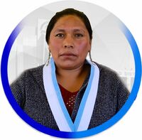 Reyna Mestas Apaza
